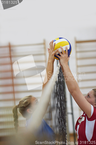 Image of volleyball