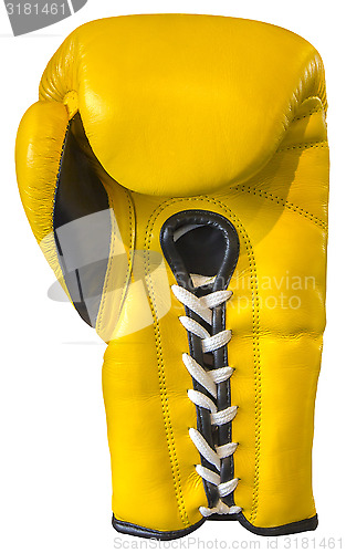 Image of Yellow boxing glove