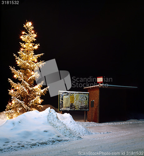 Image of Christmas tree in snowy surroundings.