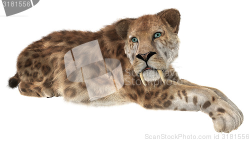 Image of Big Cat Smilodon
