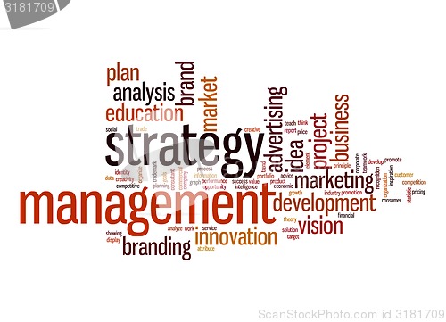 Image of Strategy management word cloud