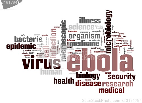 Image of Ebola virus word cloud