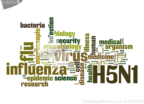 Image of H5N1 word cloud