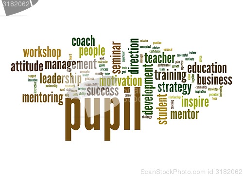 Image of Pupil word cloud