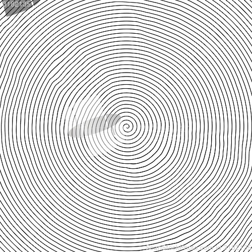 Image of black and white spiral
