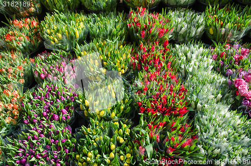 Image of Tulip bouquets all over