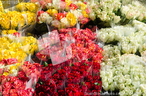 Image of Colorful rose bouquets