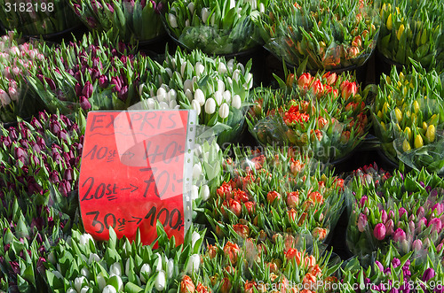 Image of Tulips with price label