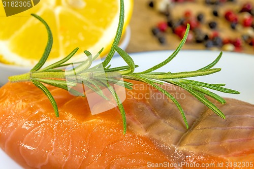 Image of Raw salmon fillet