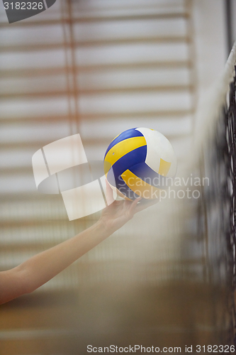 Image of volleyball