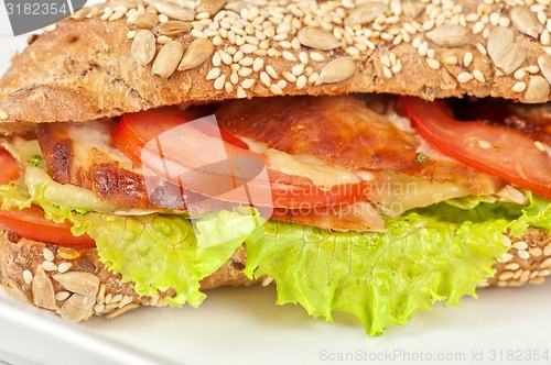 Image of Big sandwich 
