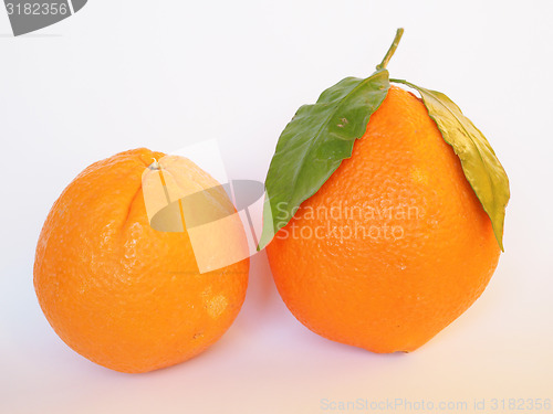 Image of Orange fruit
