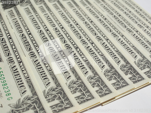 Image of Dollar notes 1 Dollar