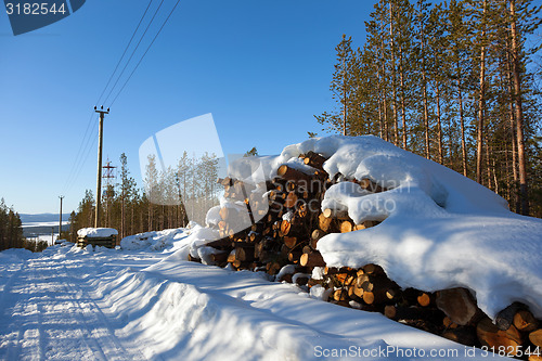 Image of Deforestation in the clearing of power line