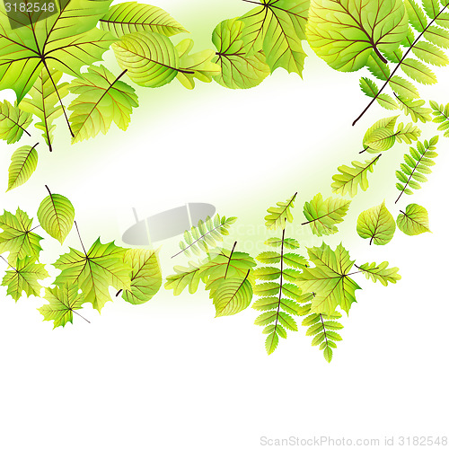 Image of Green leaves frame isolated on white. EPS 10