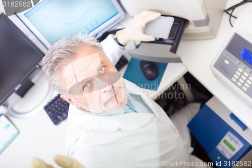 Image of Life scientist researching in the laboratory.