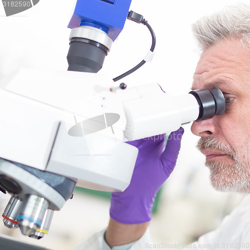 Image of Senior scientist  microscoping in lab.