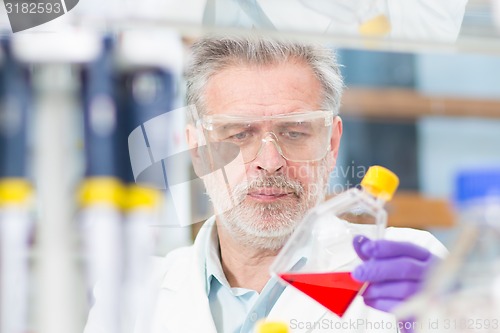 Image of Life scientist researching in the laboratory.