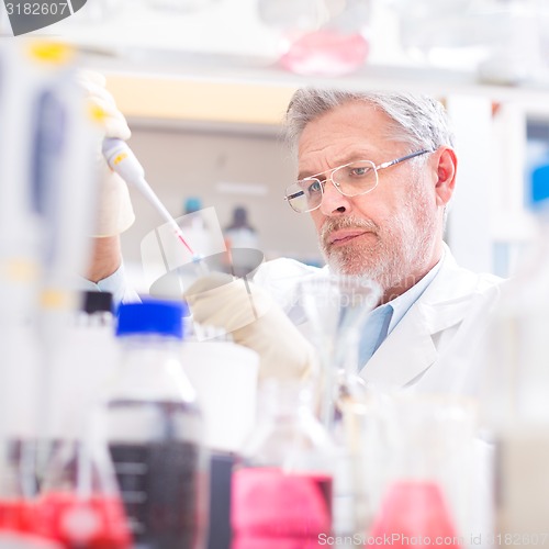 Image of Life scientist researching in the laboratory.