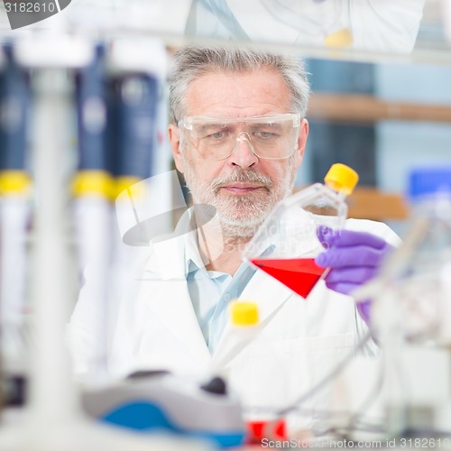 Image of Life scientist researching in the laboratory.