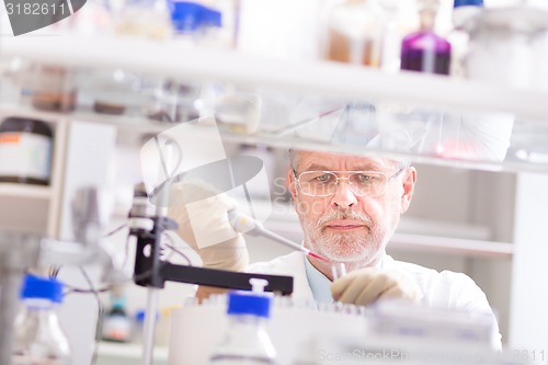 Image of Life scientist researching in the laboratory.