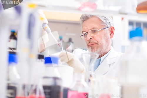 Image of Life scientist researching in the laboratory.