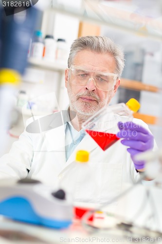 Image of Life scientist researching in the laboratory.