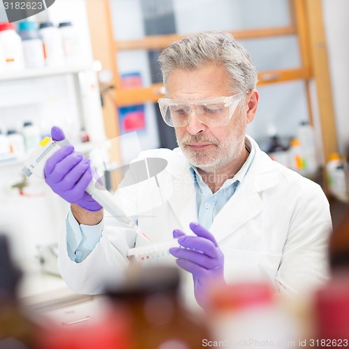 Image of Life scientist researching in the laboratory.