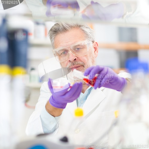 Image of Life scientist researching in the laboratory.
