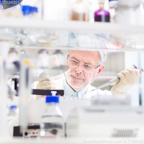 Image of Life scientist researching in the laboratory.