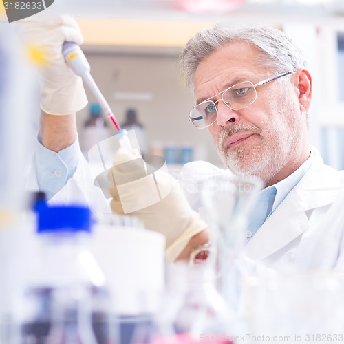 Image of Life scientist researching in the laboratory.