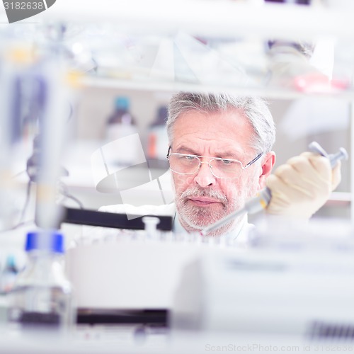 Image of Life scientist researching in the laboratory.