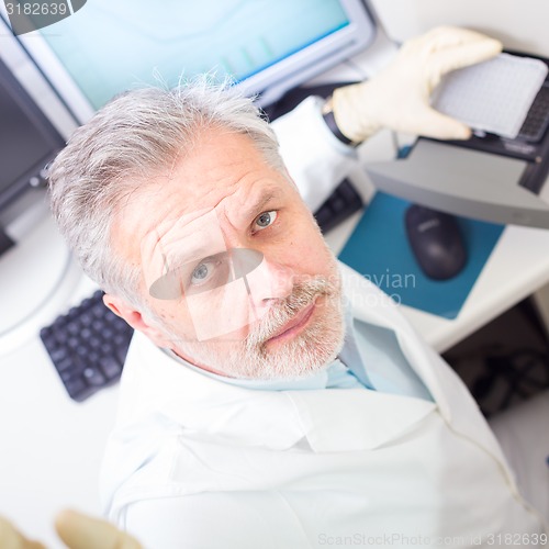 Image of Life scientist researching in the laboratory.