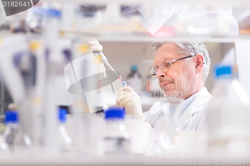 Image of Life scientist researching in the laboratory.