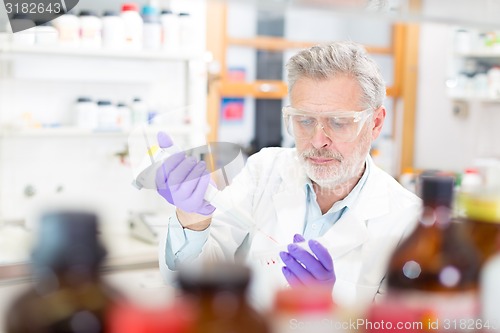 Image of Life scientist researching in the laboratory.