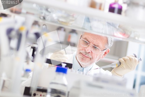 Image of Life scientist researching in the laboratory.