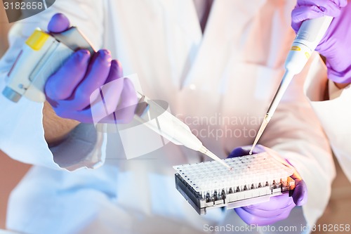 Image of Multi channel pipette pipetting.