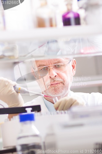 Image of Life scientist researching in the laboratory.