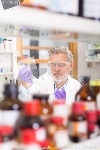 Image of Life scientist researching in the laboratory.