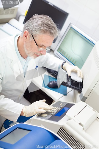 Image of Life scientist researching in the laboratory.