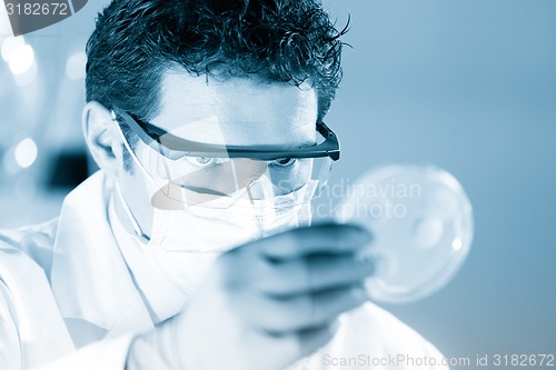 Image of Scientist observing petri dish.