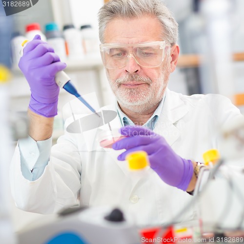 Image of Life scientist researching in the laboratory.