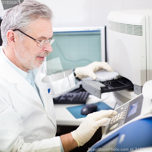 Image of Life scientist researching in the laboratory.