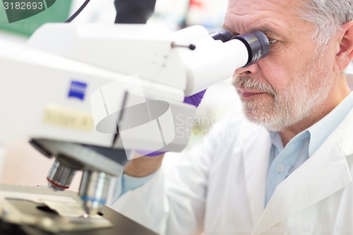 Image of Senior scientist  microscoping in lab.