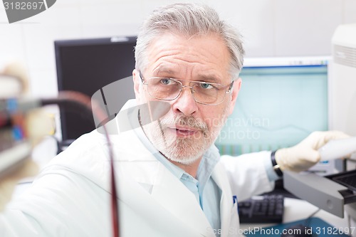 Image of Life scientist researching in the laboratory.