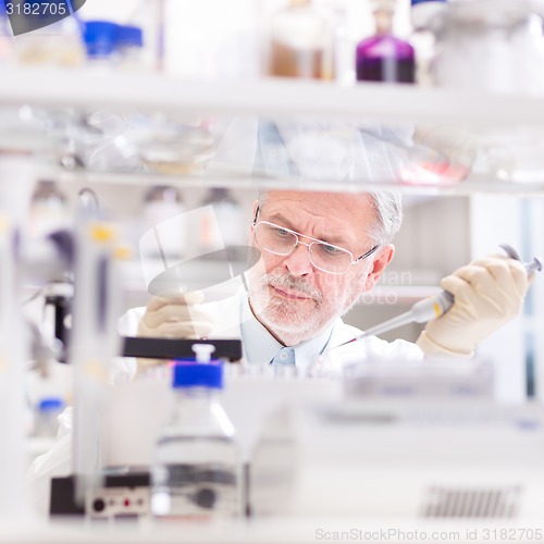 Image of Life scientist researching in the laboratory.