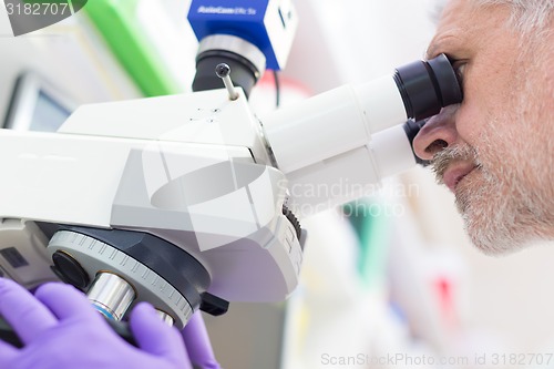 Image of Senior scientist  microscoping in lab.