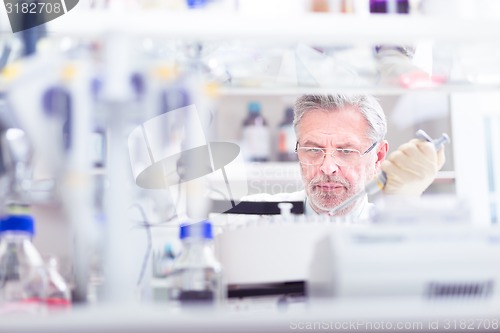 Image of Life scientist researching in the laboratory.