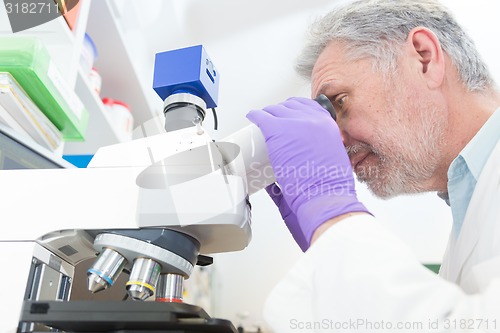 Image of Senior scientist  microscoping in lab.