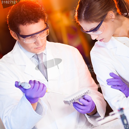 Image of Scientist pipetting.